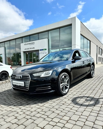 Audi A4 cena 91500 przebieg: 112400, rok produkcji 2016 z Bierutów małe 667